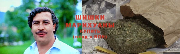 мдпв Бронницы